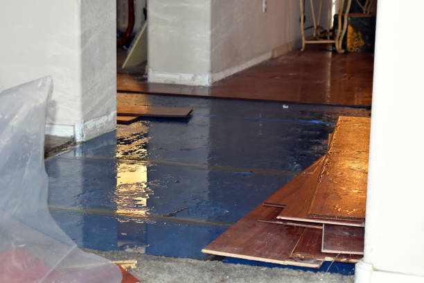 Professional Flood Cleanup technician working in Easthampton, MA